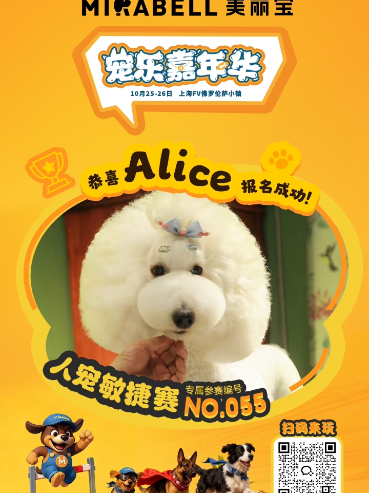 爱丽丝的第一场敏捷赛