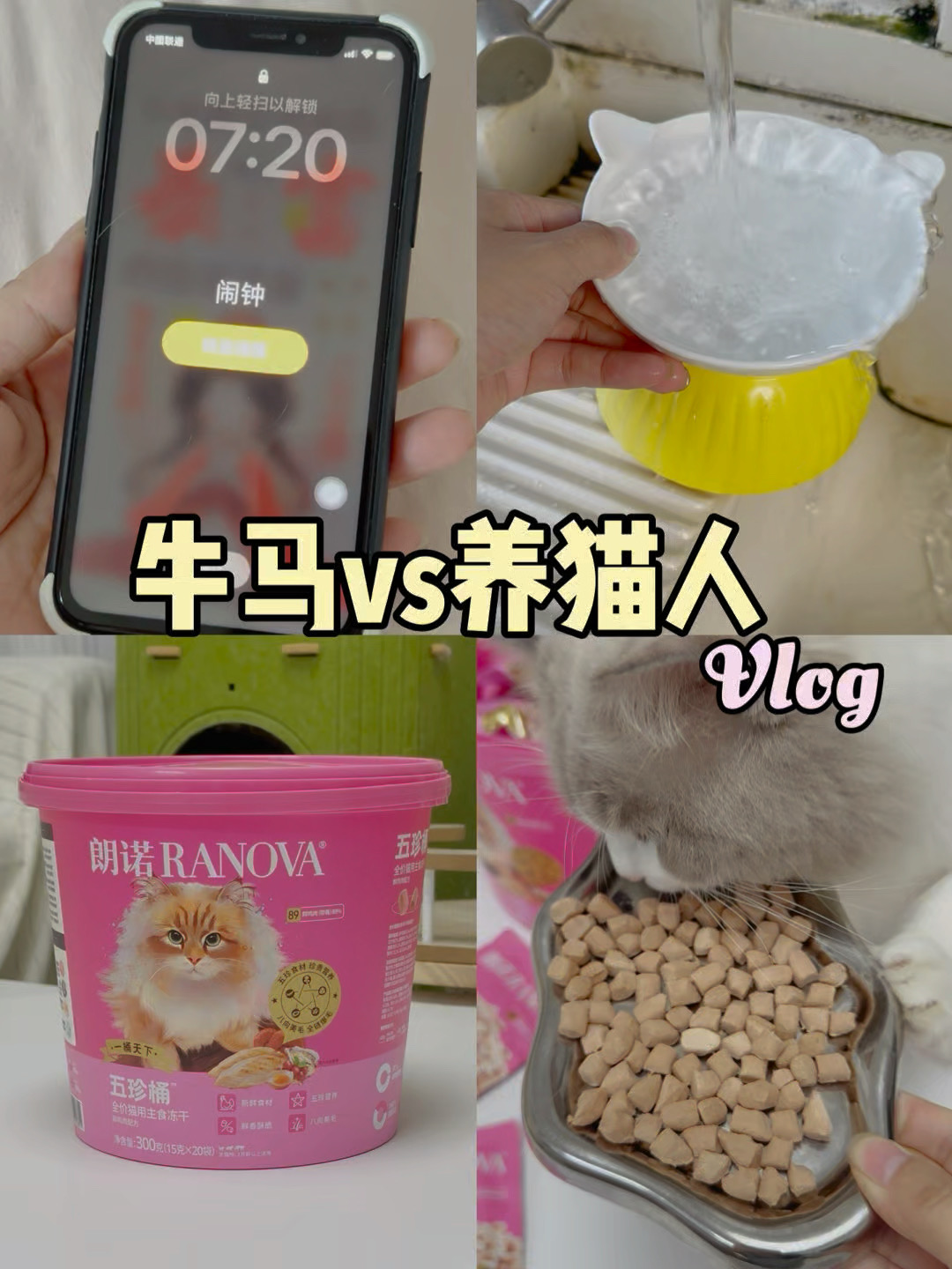 牛马的早晨&养猫人的早晨vlog