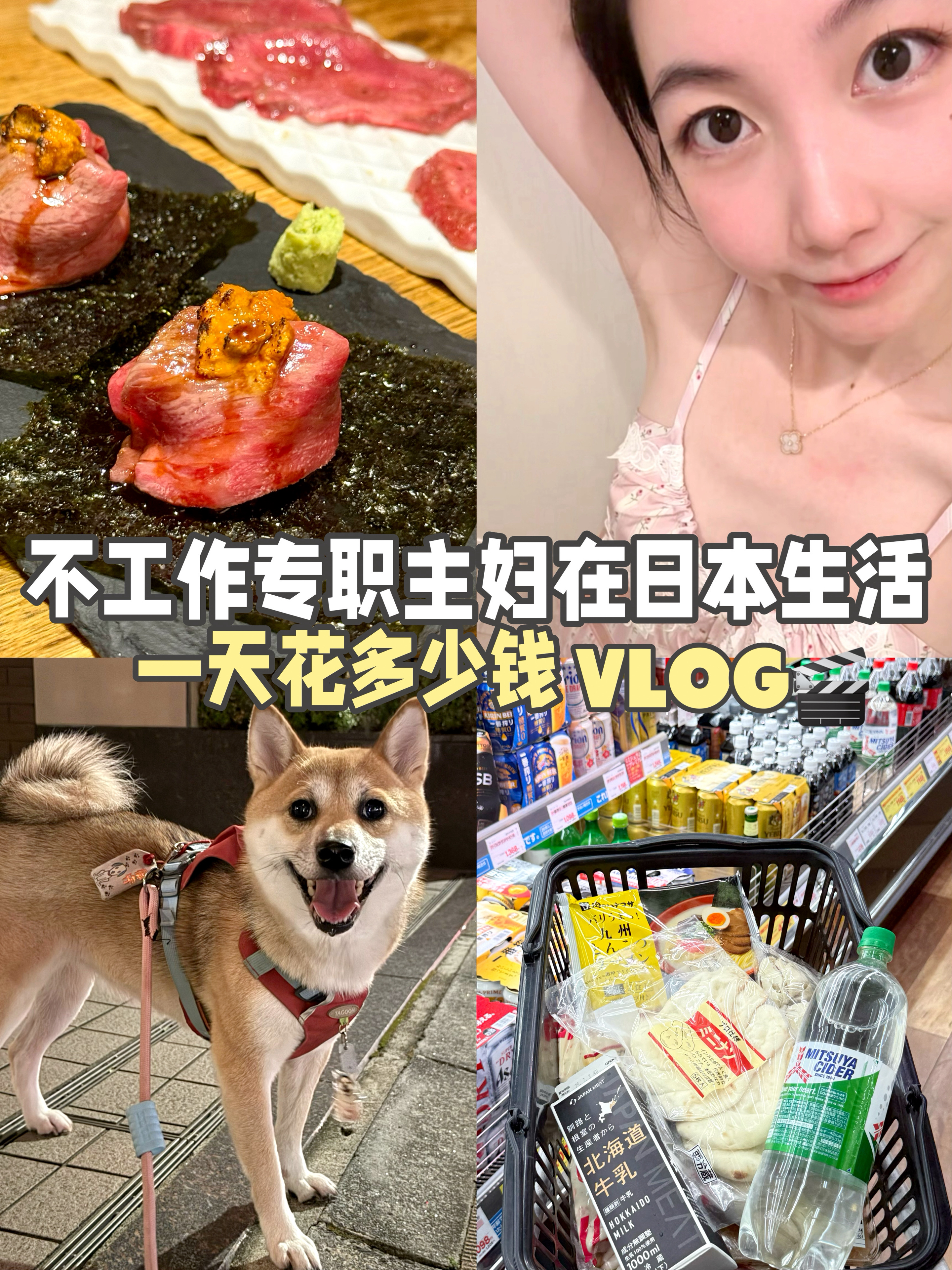 不工作专职主妇在日本生活的一天花多少钱VL