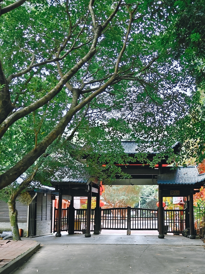 福州｜三叠井森林公园