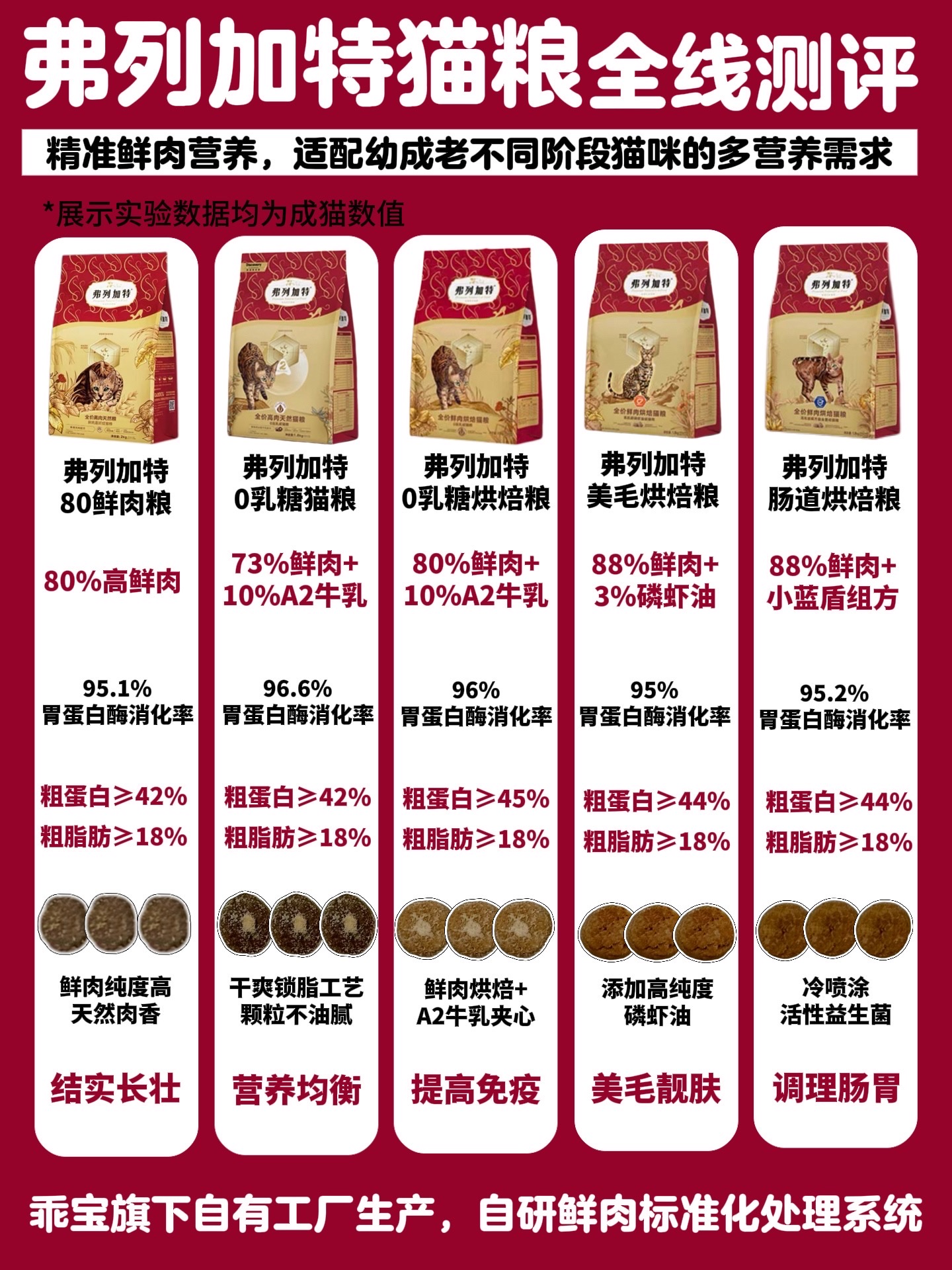 精准适配猫咪营养💪弗列加特猫粮全线测评！