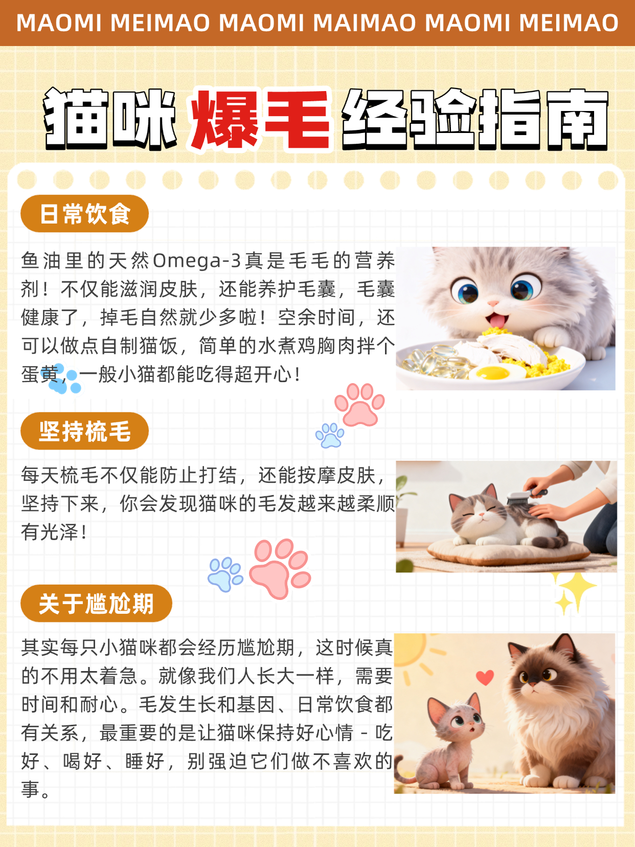 换季掉毛预警!猫咪爆毛美毛邪修分享!