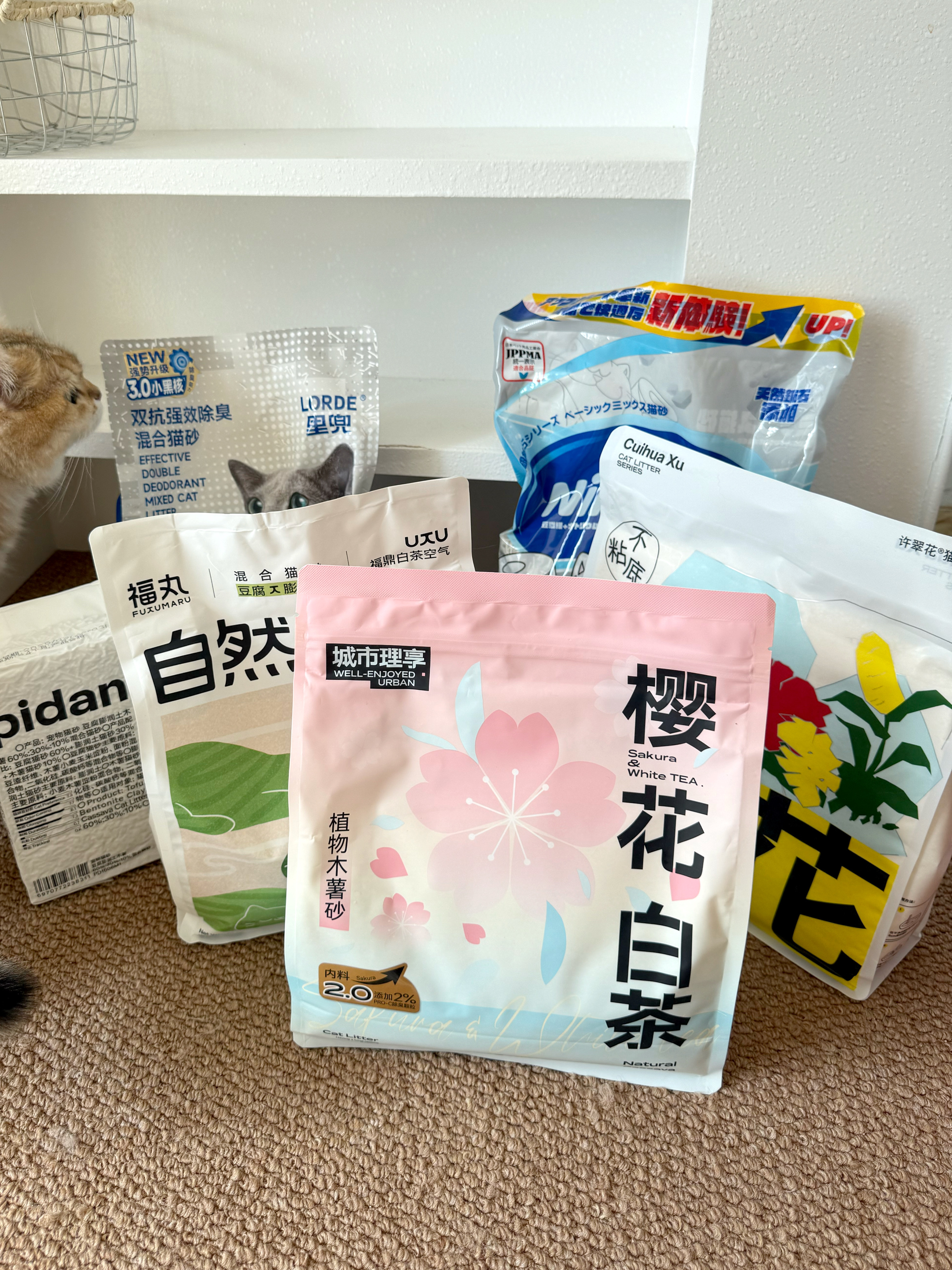 热门猫砂测评分享!用过才敢说实话~