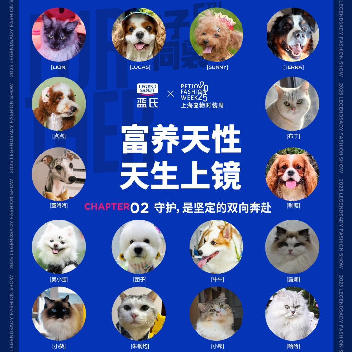 今天男明星又要走秀啦，欢迎来现场看秀👏