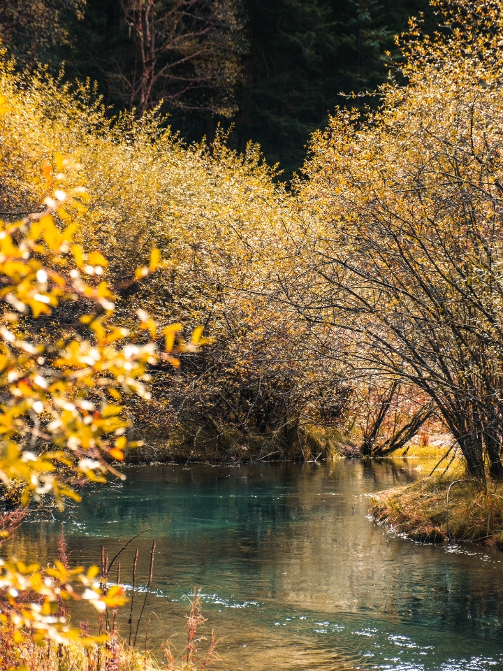 九寨沟︱开始拼凑秋天的颜色🍁