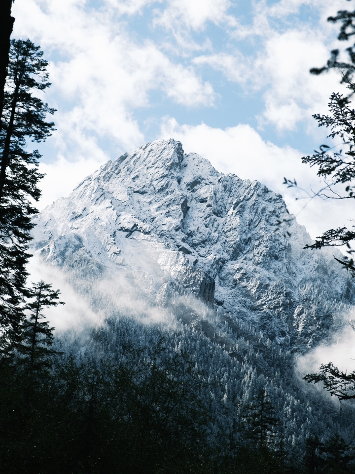 夏天的尽头是雪国森林🌨️