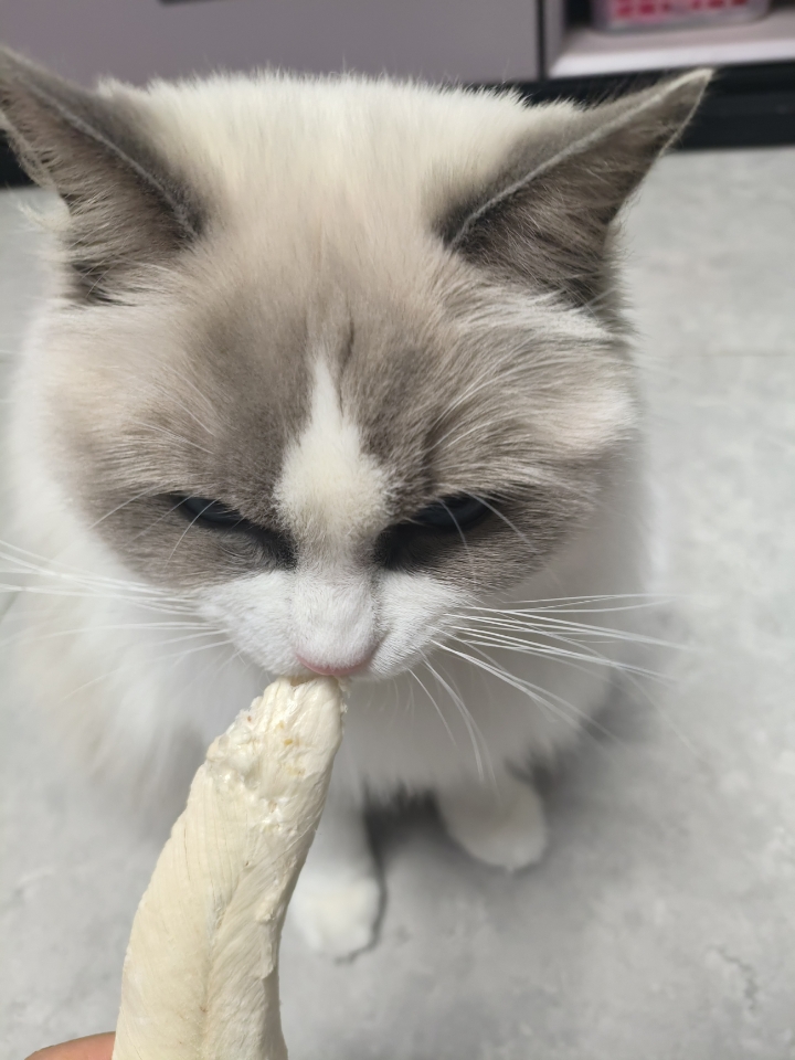 灰灰超级无敌爱吃鸡小胸冻干欸！每次都吃的很疯，开心到成为残影～以后多买！