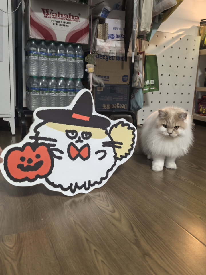 皮皮日记 | 万圣节🎃