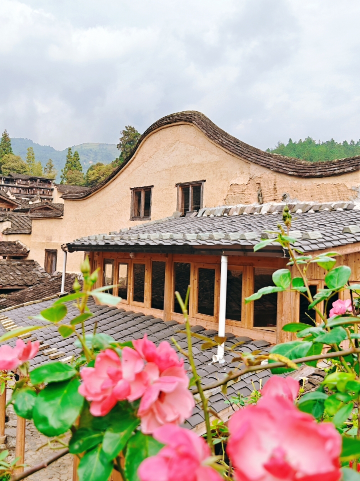 赏秋｜屏南游记  四坪村的柿子红了