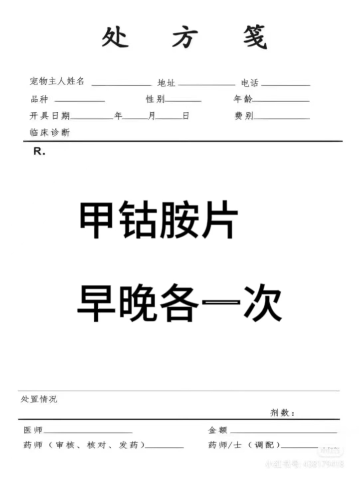 博美狗狗神经炎，发现及时治 疗【已痊愈】 标准博美犬  今年5岁 母 3公斤左右 今年五月份他突然就四肢无力，一碰就叫，食欲也不怎么好了，之前从来没有发生过这样的情况，就去医院检查了一下，验了血，还拍了个片子，医生说没什么事，就先回家观察了几天，我感觉医生有点不靠谱，狗狗都有些瘫痪了，怎么会没事！我害怕狗狗的病情越拖越严重，就换了个大点的医院，这个医生很负责任，做完检查还问我狗狗具体发病时间，前后...