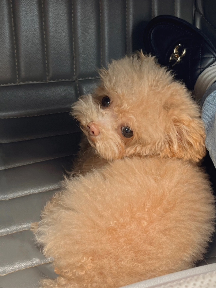 因为没允许他坐副驾，就好委屈…