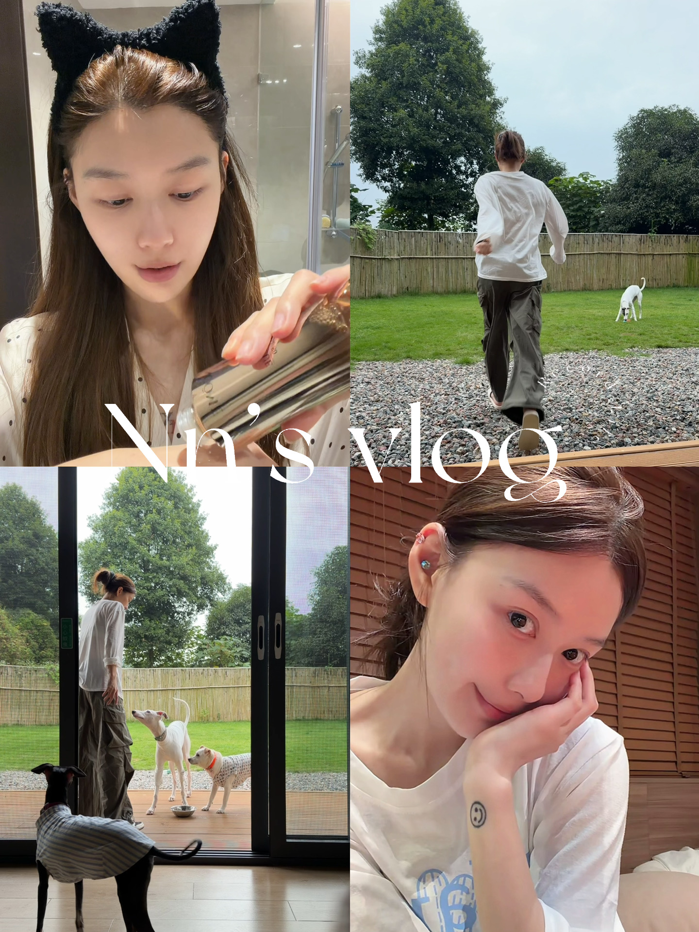 minivlog🏕️| 一人带3狗宠物民宿2日游！🐾🪺