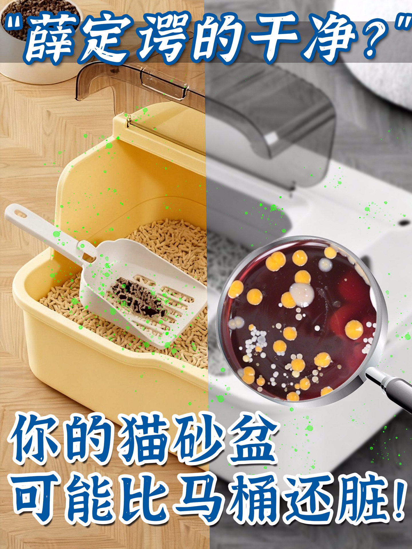 猫咪陷进细菌堆？该怎么救？