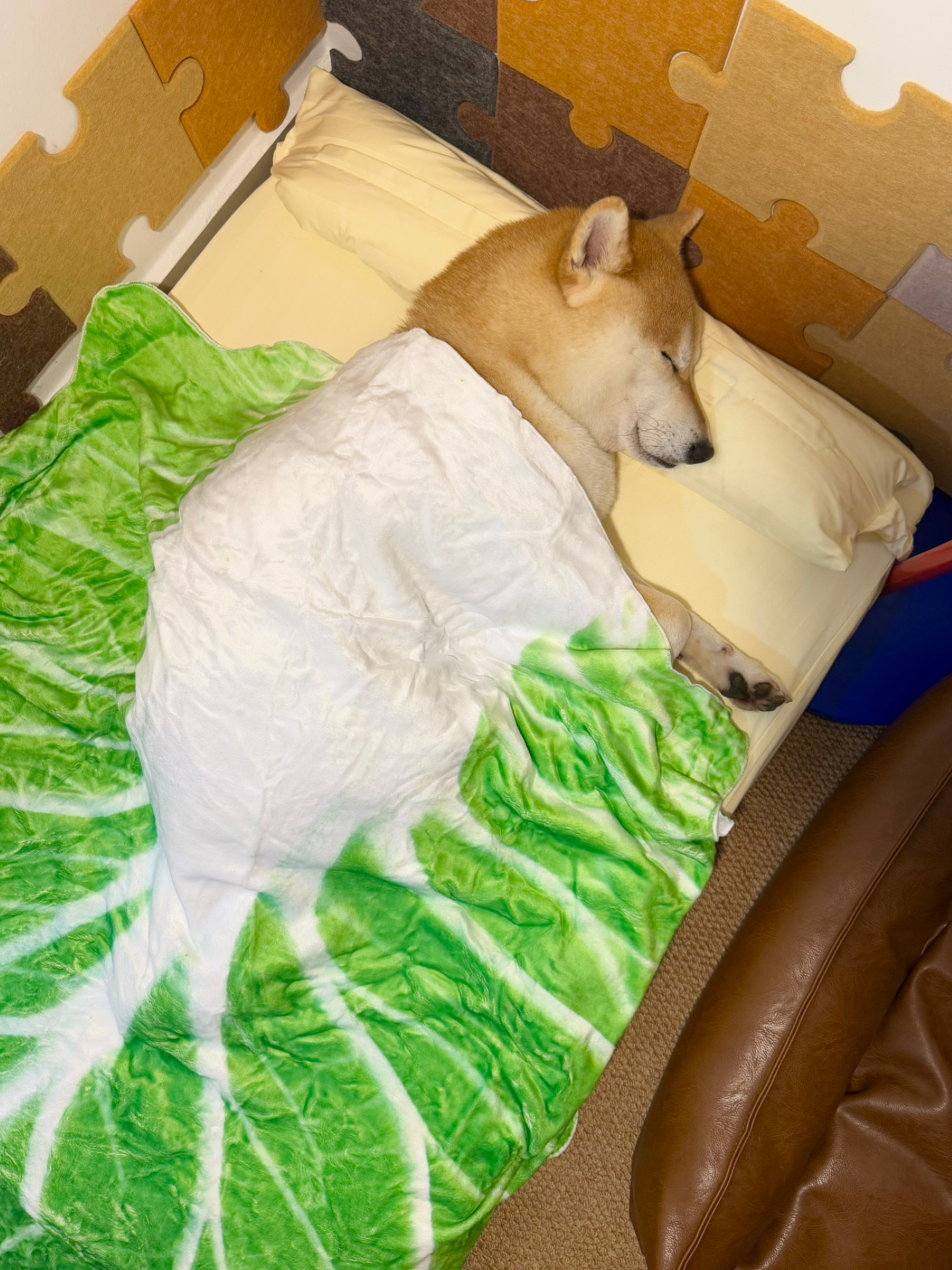 我重生了 重生在酷暑难耐的夜里