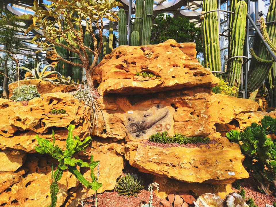 探访城市中的秘密花园🤫