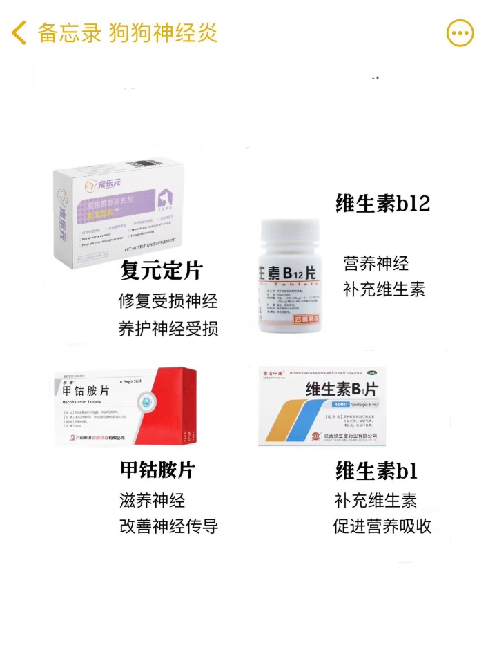 ☑如果你的狗狗  1⃣弓背，抽搐，呻吟，站立困难  2⃣卷腹蜷缩，不让碰，狗狗没有精神，进食少  3⃣尿失禁、排便失禁、唾液分泌增多  4⃣有四肢无力，精神萎靡，食欲不振，不爱运动等这些的表现。   ☑如果发现狗狗出现以上这些症状 我们要  1⃣合理安排运动。神经炎的狗狗不宜进行激烈运动,可以选择散步、慢跑等轻缓的运动方式，场地尽量选择  2⃣控制饮食。给狗狗提供低盐、低脂肪、高蛋白的食物，避免给...