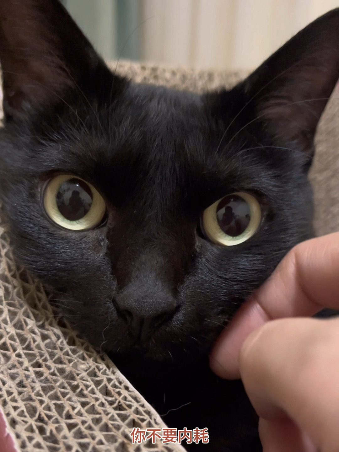 人，你不要内耗