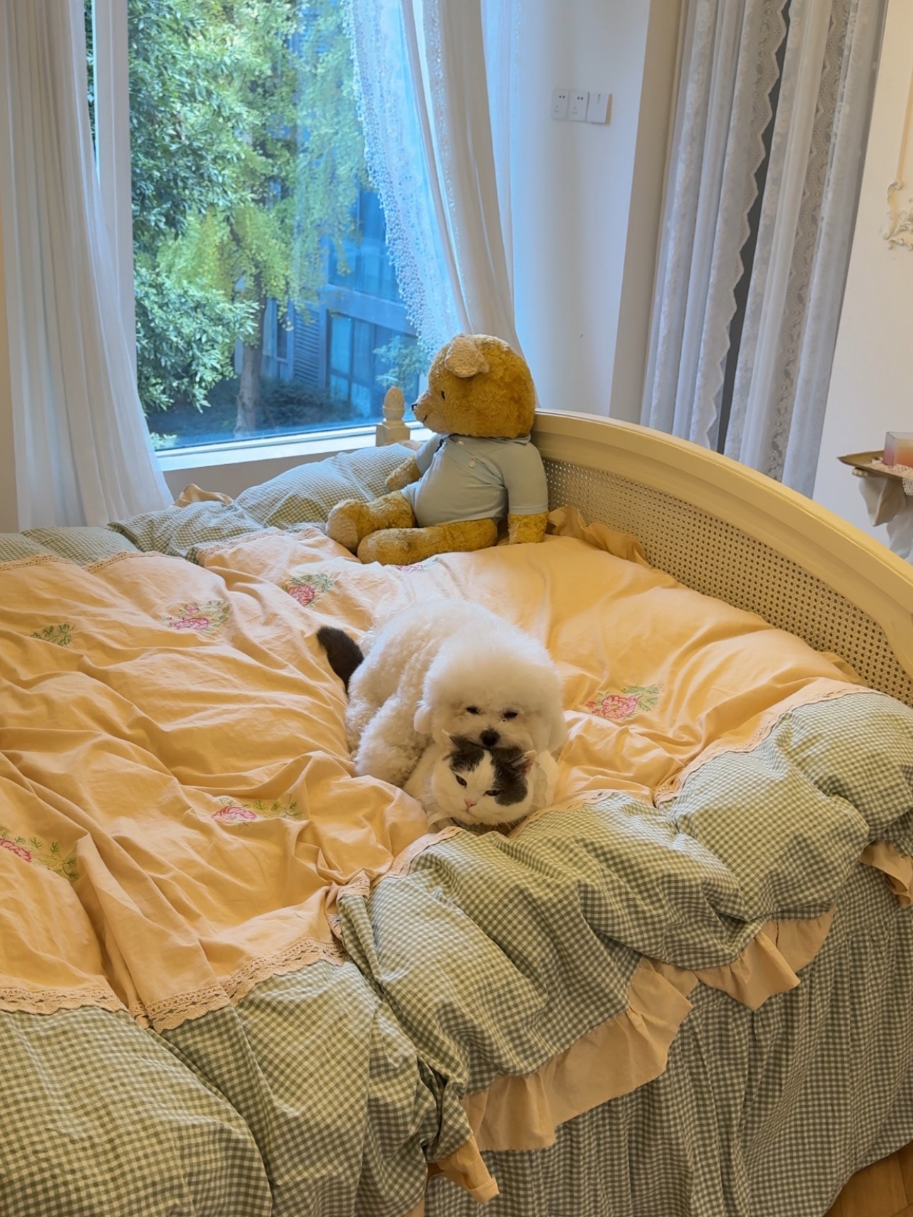 谁懂！走进卧室看到这一幕有多治愈…