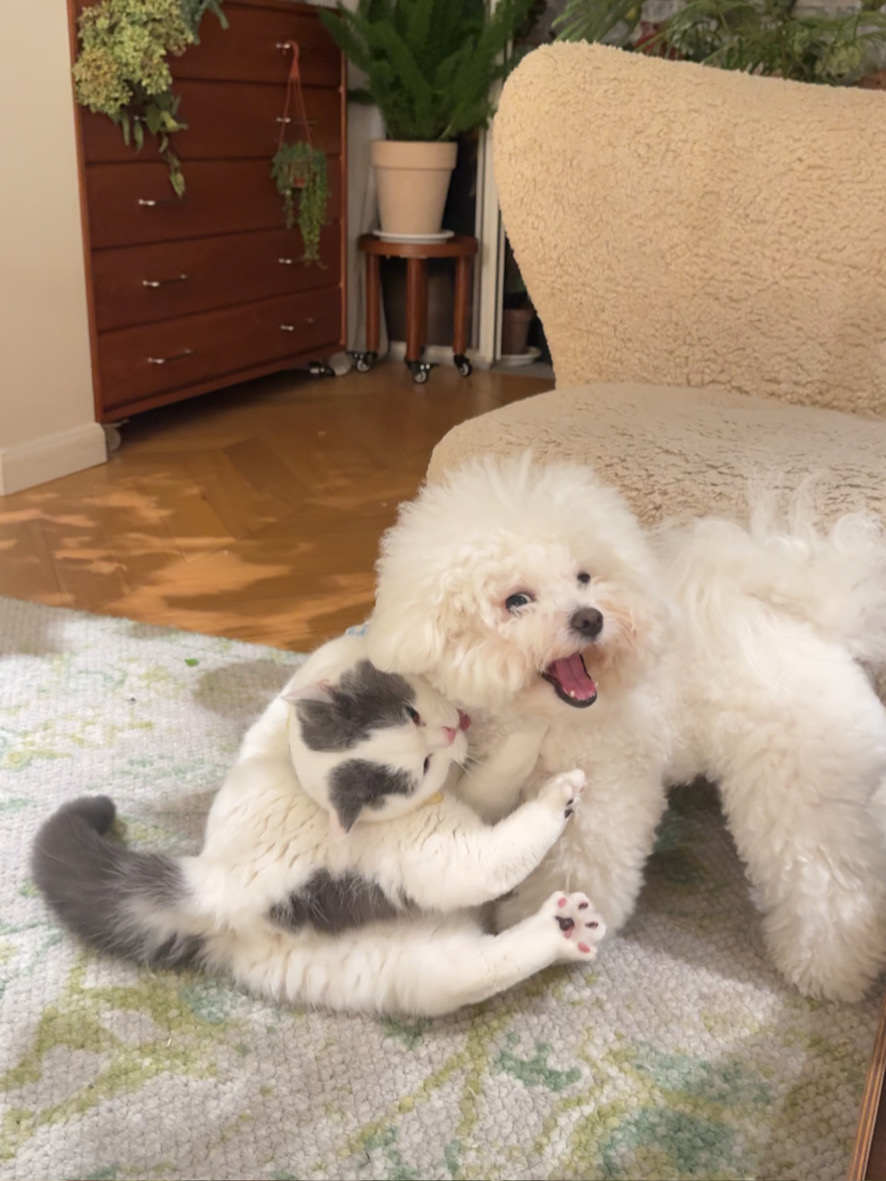 谁懂！一回家就看到他俩抱在一起亲亲…