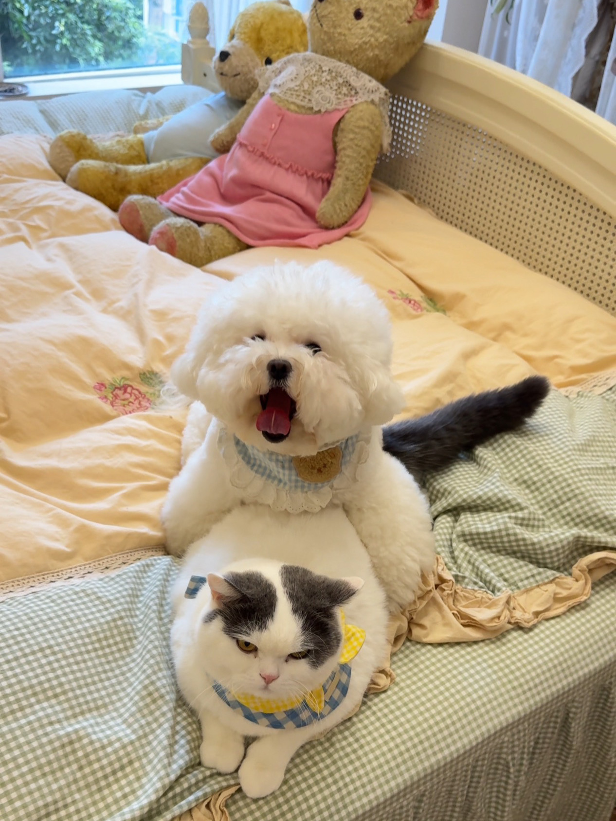 他俩也不上班…天天在家玩叠叠乐能行吗？