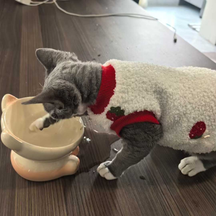 养猫其实很简单，不用经常去医院，18条小妙招，学会一年省几千！！！ 1.泪痕：生理盐水擦拭眼部泪痕 2.伤口：百灵金方，帮助伤口恢复，同时有抑菌作用 3.耳螨：耳肤灵+大宠爱，清洗耳垢后，滴入大宠爱，效果更佳 4.猫传腹：41，早晚喂冠度，固定时间打441，搭配使用效果佳 5.猫咪神经炎：复元定片+大活络+甲钴胺，抗惊厥！！！ 6.结膜炎：氯霉素，用于眼睛发炎和红肿 7.消化不良：益生菌，调理肠胃...