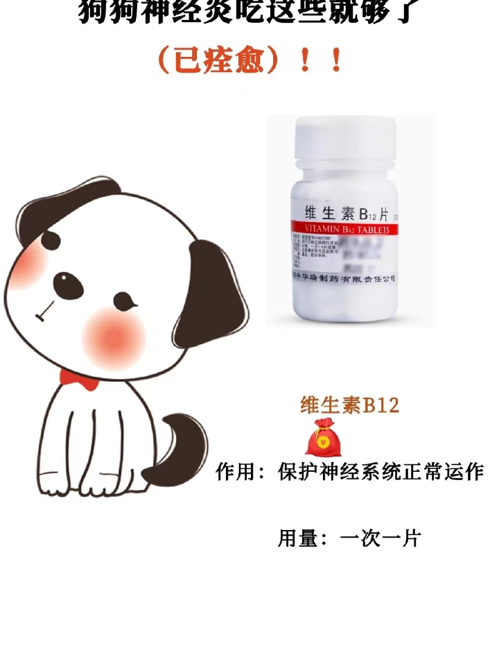 家银们！！我来分享下我家狗子患上神经炎这段时间内是怎么治好的，还有狗狗患上神经炎是怎么样的症状？？ 先说症状👉👉我家豆豆刚开始是走路晃晃悠悠的，当时还嘲笑它像喝醉酒了一样，还没过多久后腿走不成了，还没碰它就开始惨叫，随后出现炎症，发烧，不吃东西🥺 当时医生👨⚕检查出来说是因为我家狗子长期单一的喂食导致缺乏维生素B群引起的急性神经炎，查出来后就按照医生👨⚕的话，给它扎针然后配合吃💊治的，连续治了一个...
