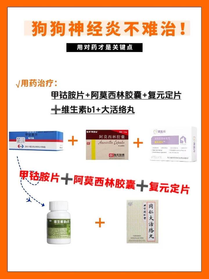 不夸张的说16岁的泰迪，它就是一个老爷爷！ 我真的快要窒息了！每天担心它是否还活着..... 养狗无法避免狗狗步入老年期，狗狗的身体一般7岁就开始衰老，7岁的狗狗相当于人快60岁的年龄，这时候身为主人的我们就应该注意了，狗狗年纪大了抵-抗-力会下降，容易得很多疾病，像癫痫、肾病、肝病、心脏病等等，病情发展严重还会导致四亡‼ 今天就来聊一聊我是怎么照顾16岁有癫痫的泰迪~ ☑饮食篇 老年犬牙齿容易松...