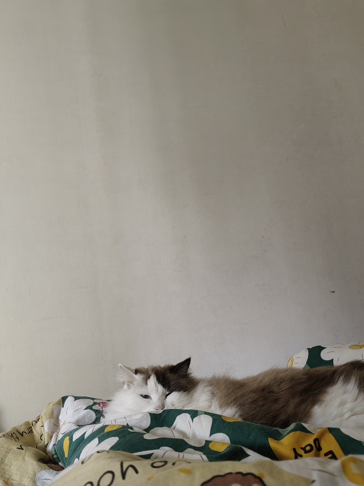 悠哉悠哉的宝宝