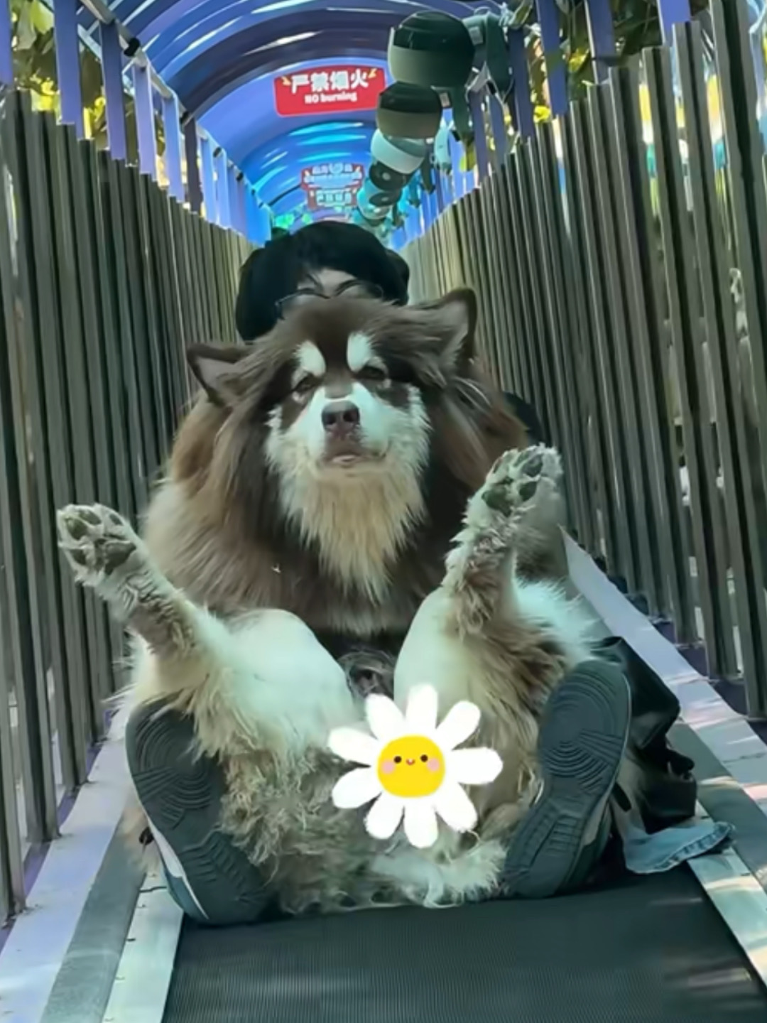 为这个家真的操碎了心