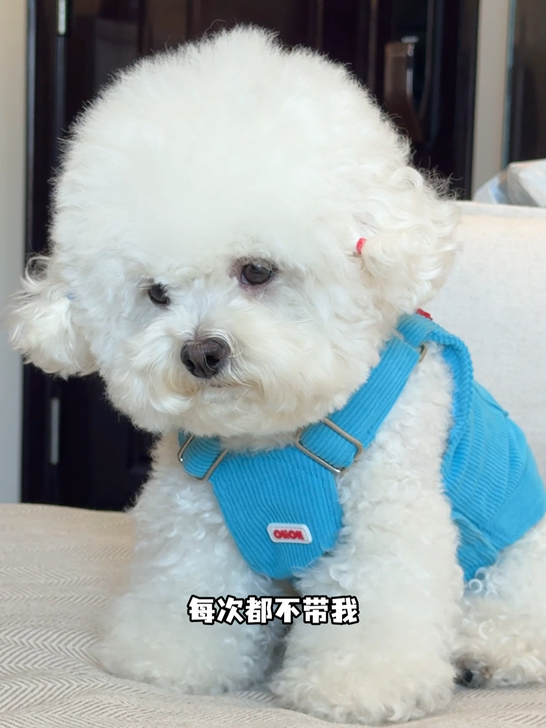 孩子怎么又emo了