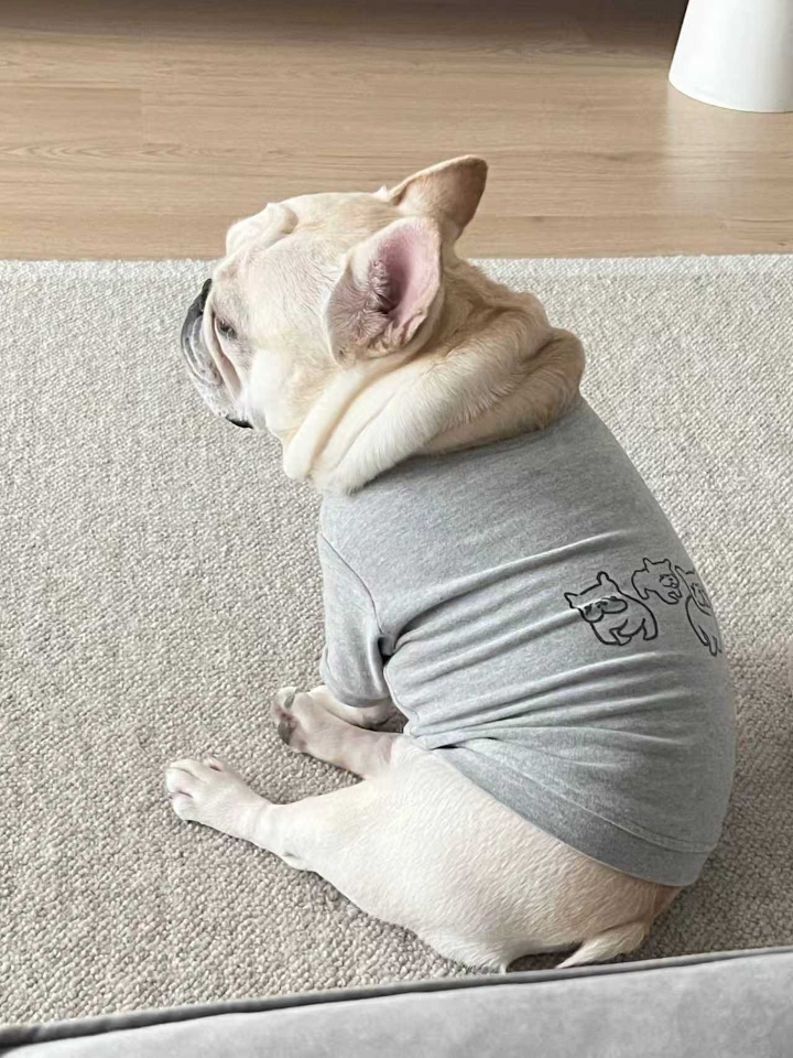 低成本养狗，狗狗神经炎用药推荐 千万不要等到狗狗神经炎了才着急求医，宠主们平时就要对神经炎有所了解的 为什么需要了解神经炎？ 神经炎算是狗狗比较高发的一种病了，而且一旦生病，拖延治 疗可能造成瘫痪，比较严重 狗狗神经炎怎么判断？ 症状：抽搐、吐白沫；四肢无力、步态不稳；疼叫、一碰就叫 狗狗神经炎怎么治 疗？ 💫维生素B1：补充维生素，（早晚各一片） 💫甲钴胺片：促进神经循环，适用于周围神经病变（早...