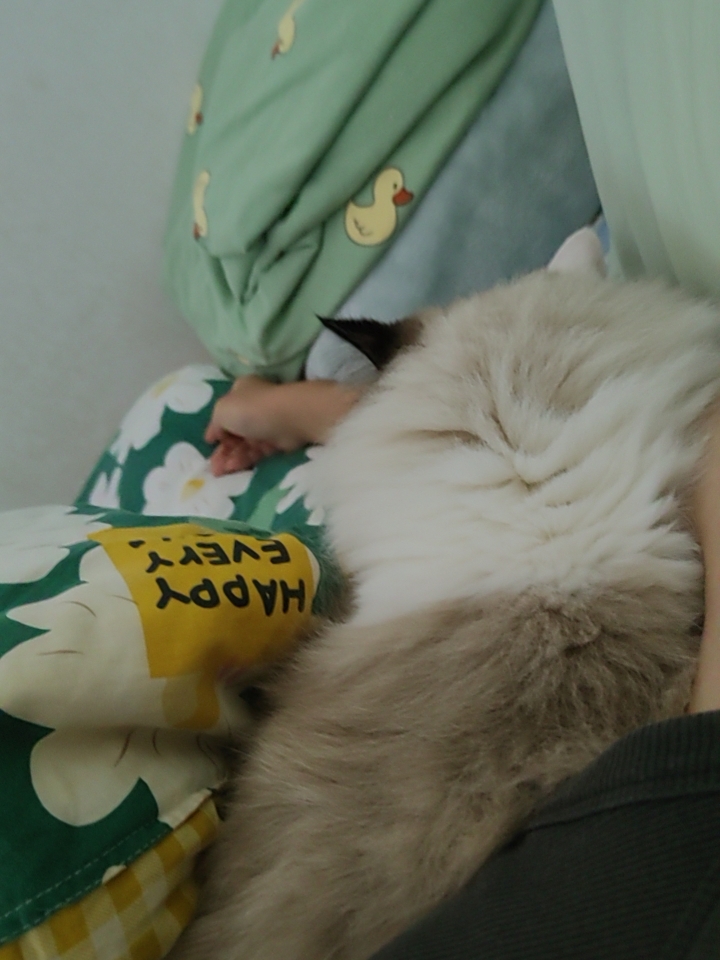 给自己找个枕头和取暖的