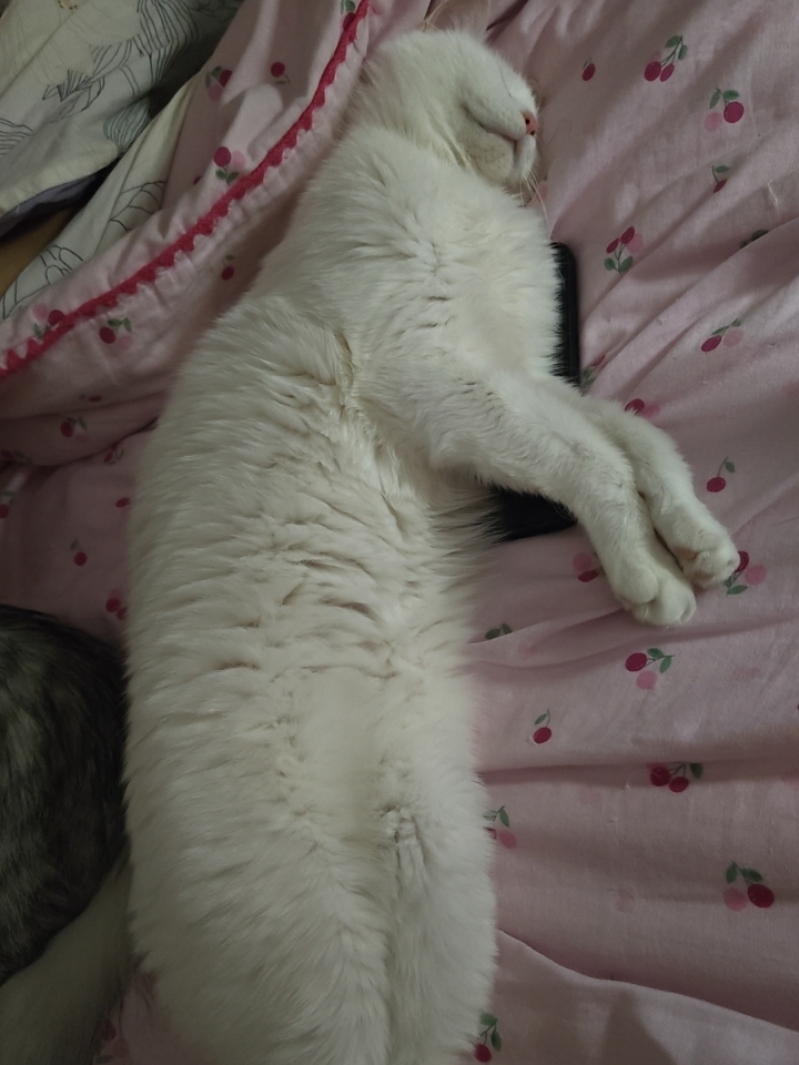 没地方睡觉啦哈哈哈哈