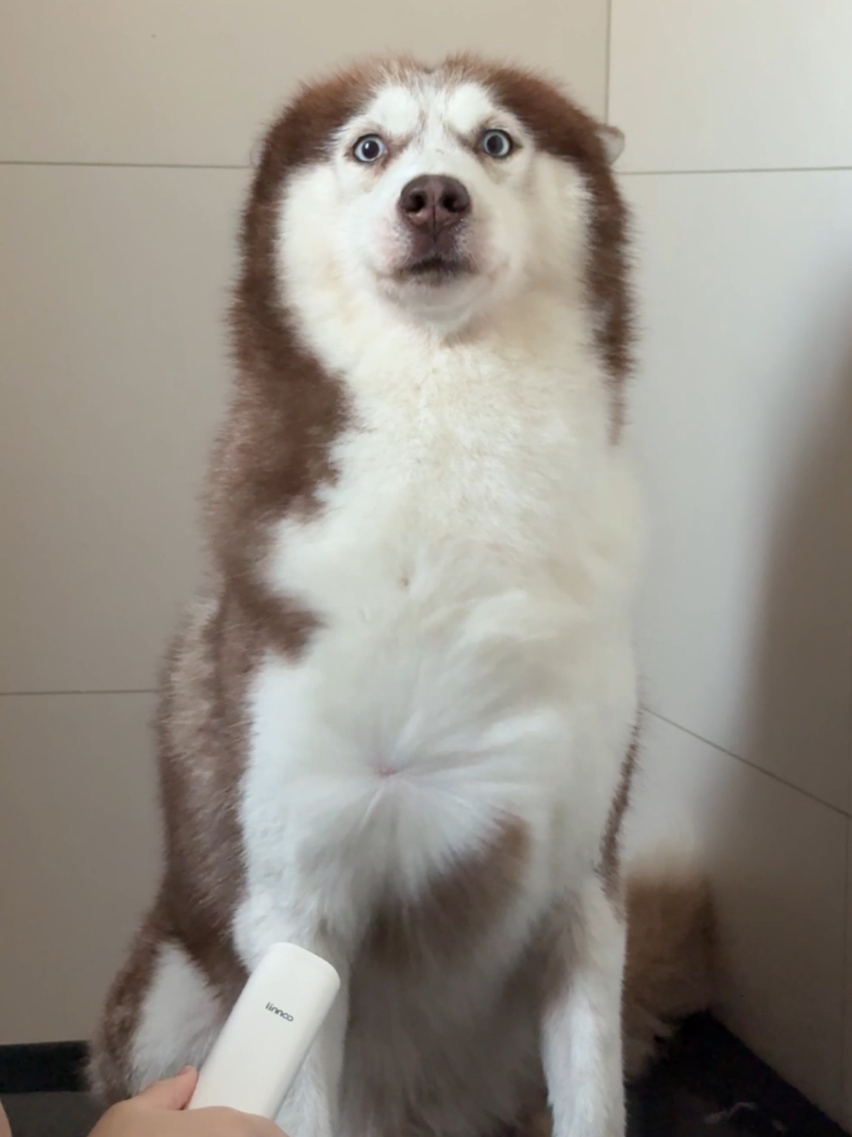 劫匪团伙的大洗之日…🛁