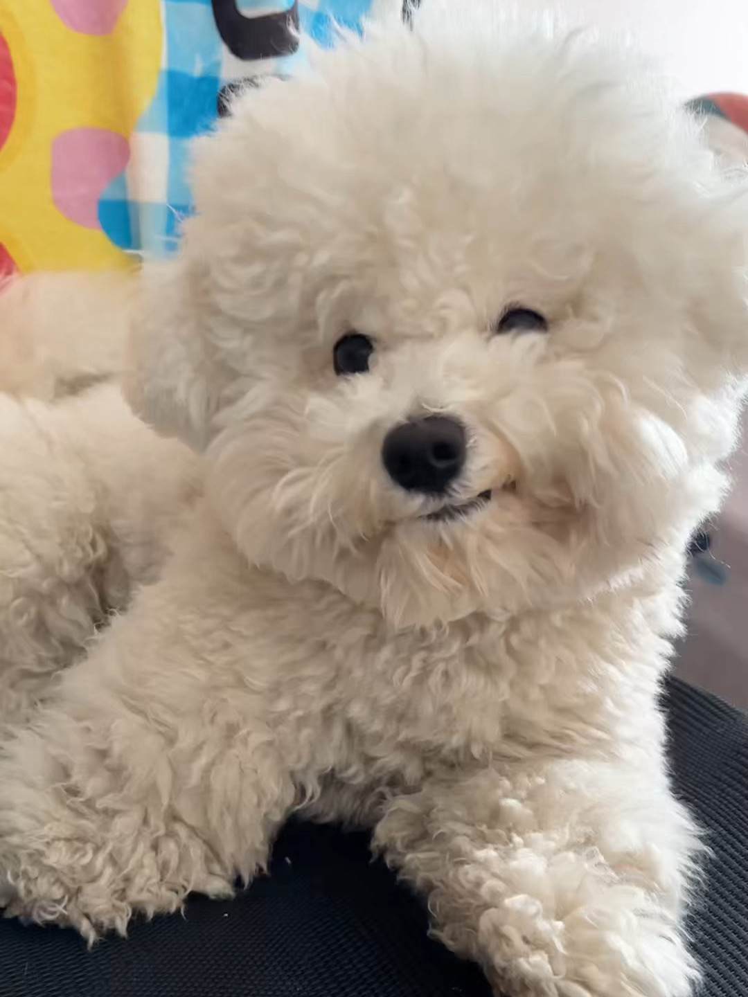 谁都拒绝不了一个八分臭的摇粒绒！！！