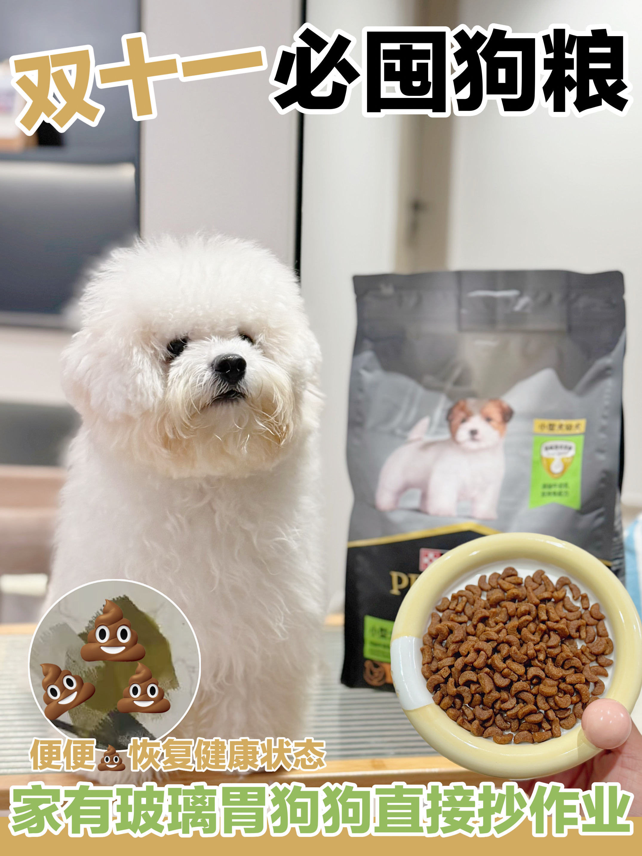 双十一狗粮囤哪款？家有玻璃胃狗狗看过来