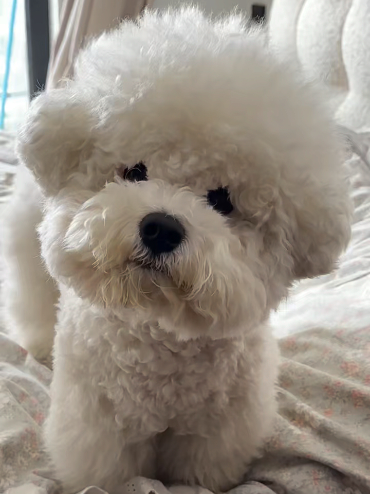 乱尿被发现后 居然还跟我顶嘴…