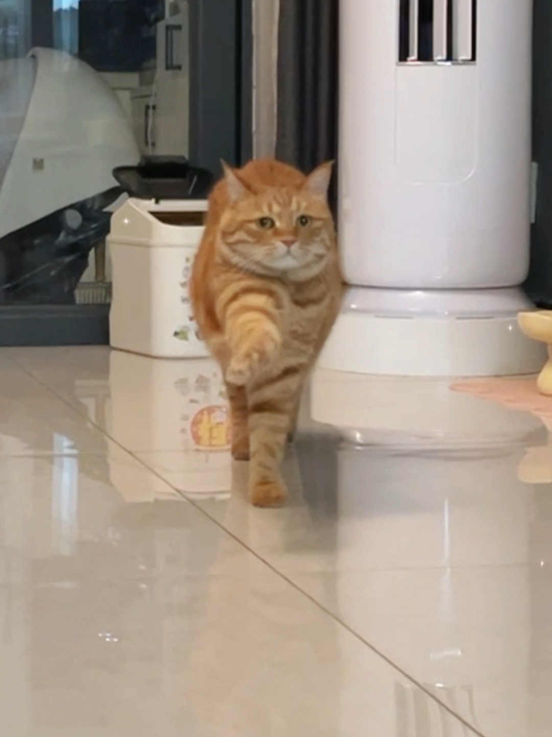 人，泥嚎！请跟咪握手