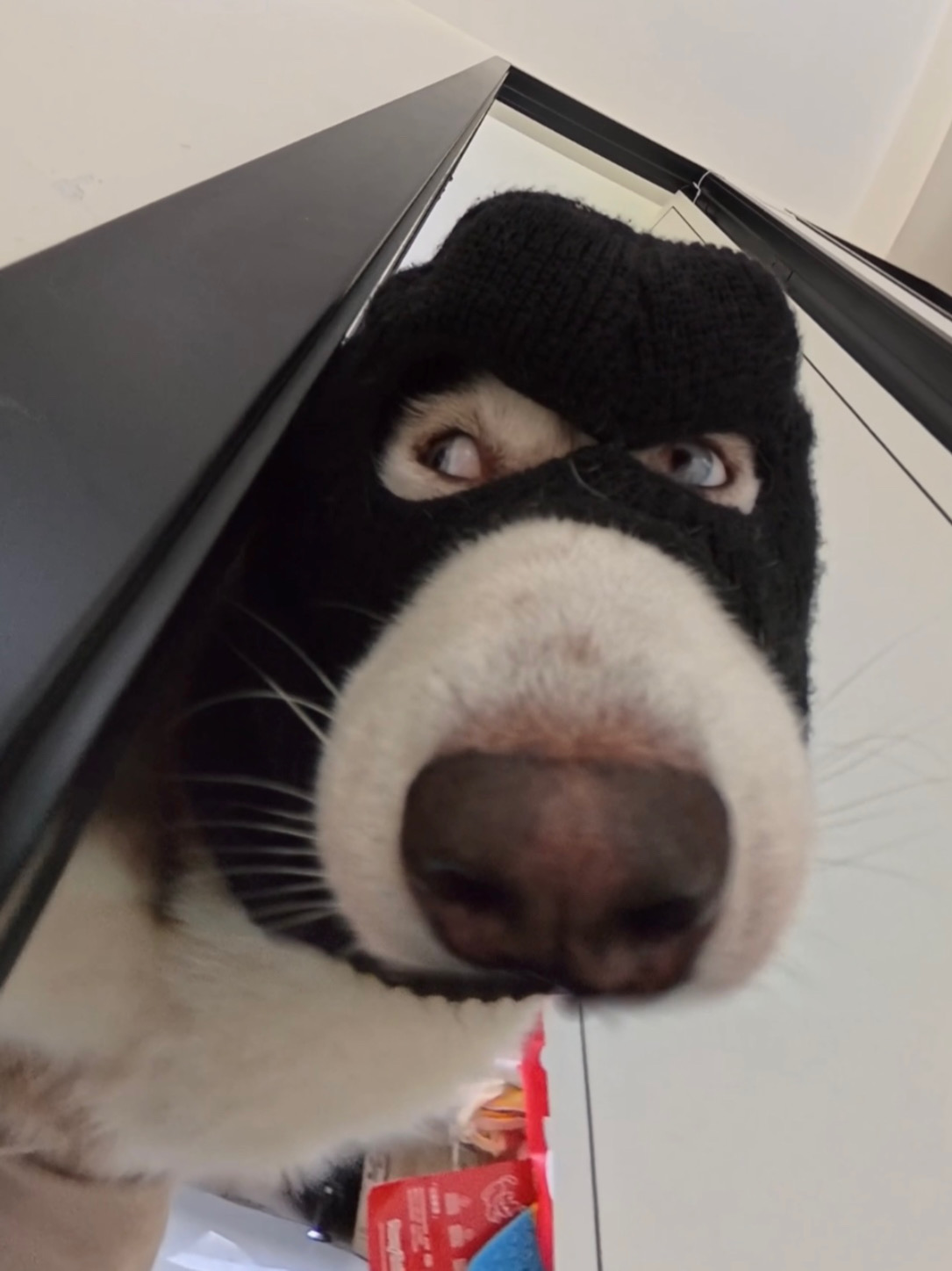 依旧我办事你操心/.