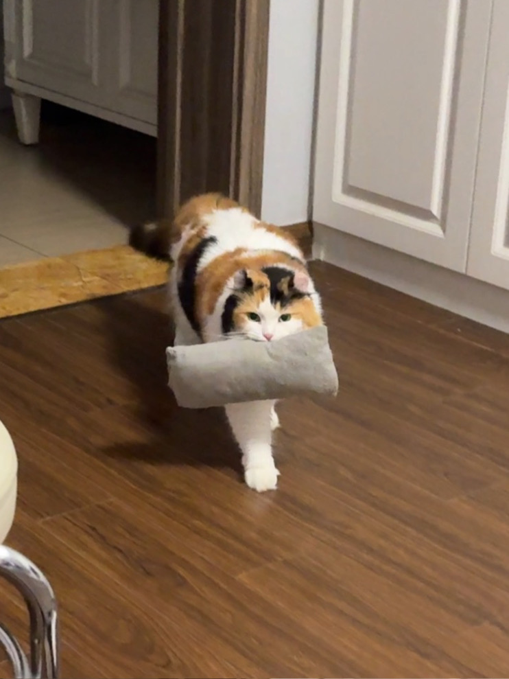 一边咬着小枕头一边喊妈妈，怎么做到的？