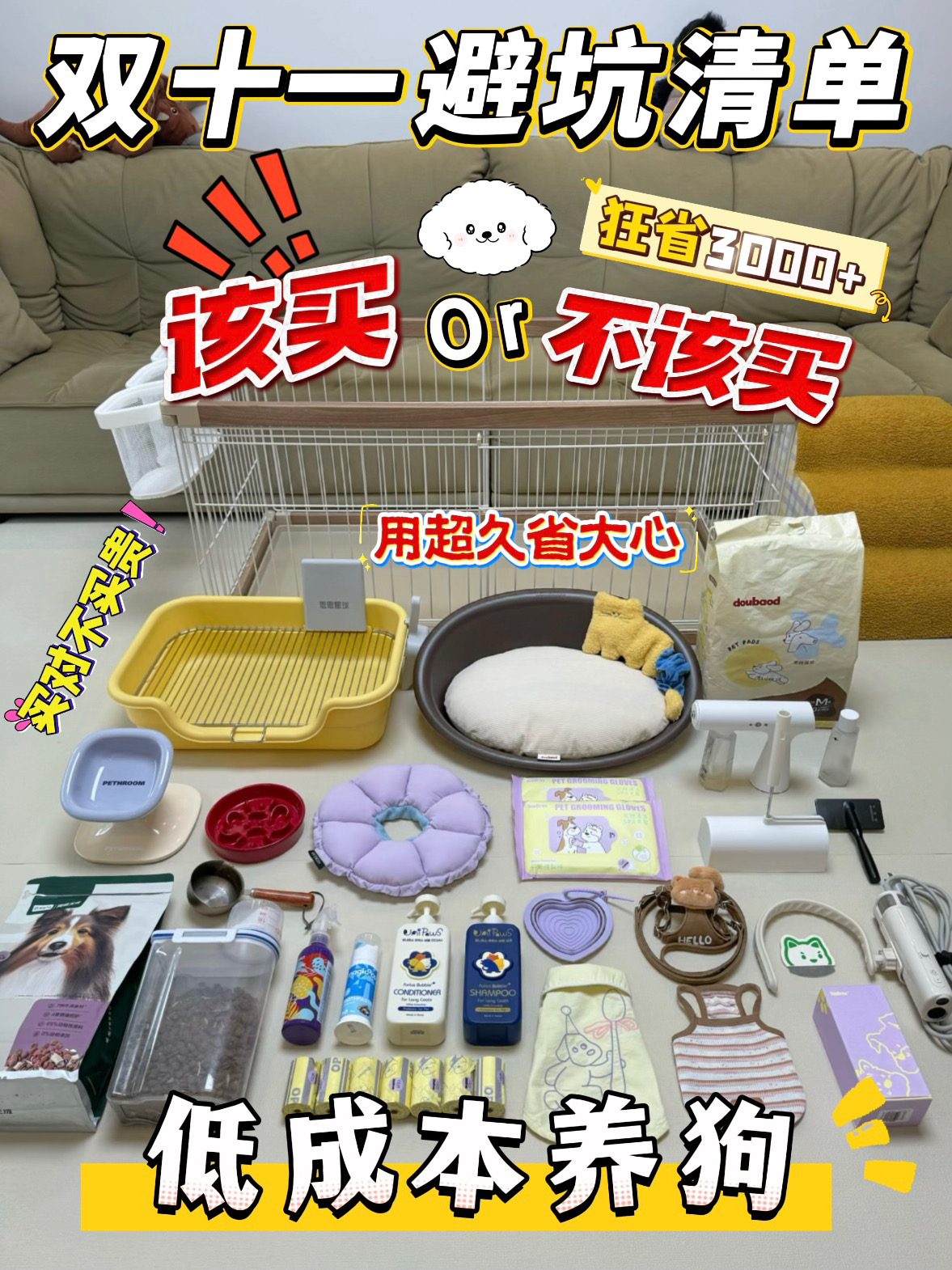 双11避坑‼️新手养狗别乱买！看完狂省3000+