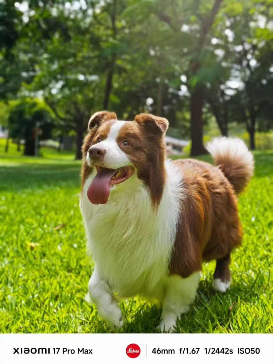 鱼仔：这是我带出来的按键娃