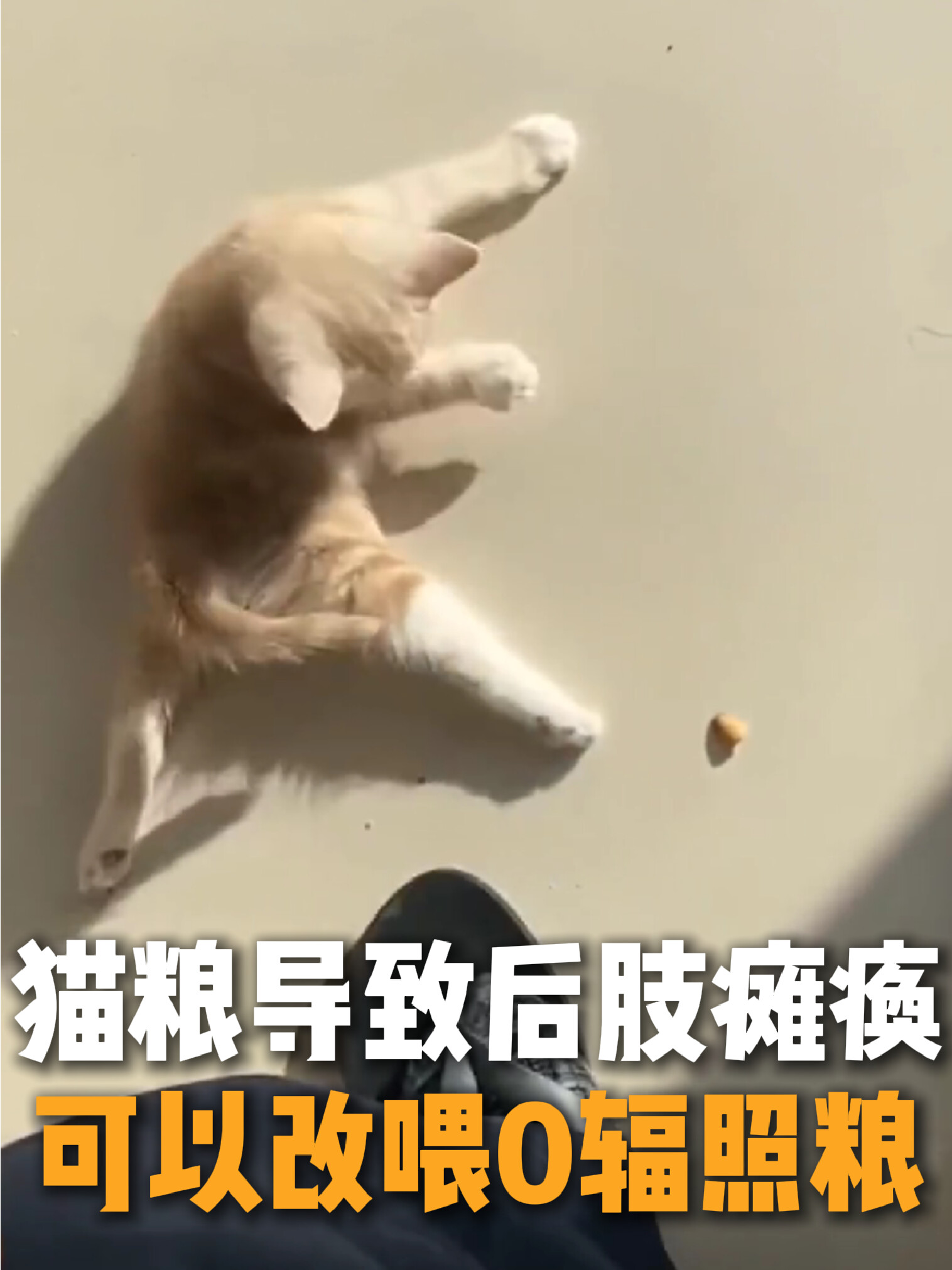 猫咪瘫痪元凶是辐照？还好出了第三代猫粮