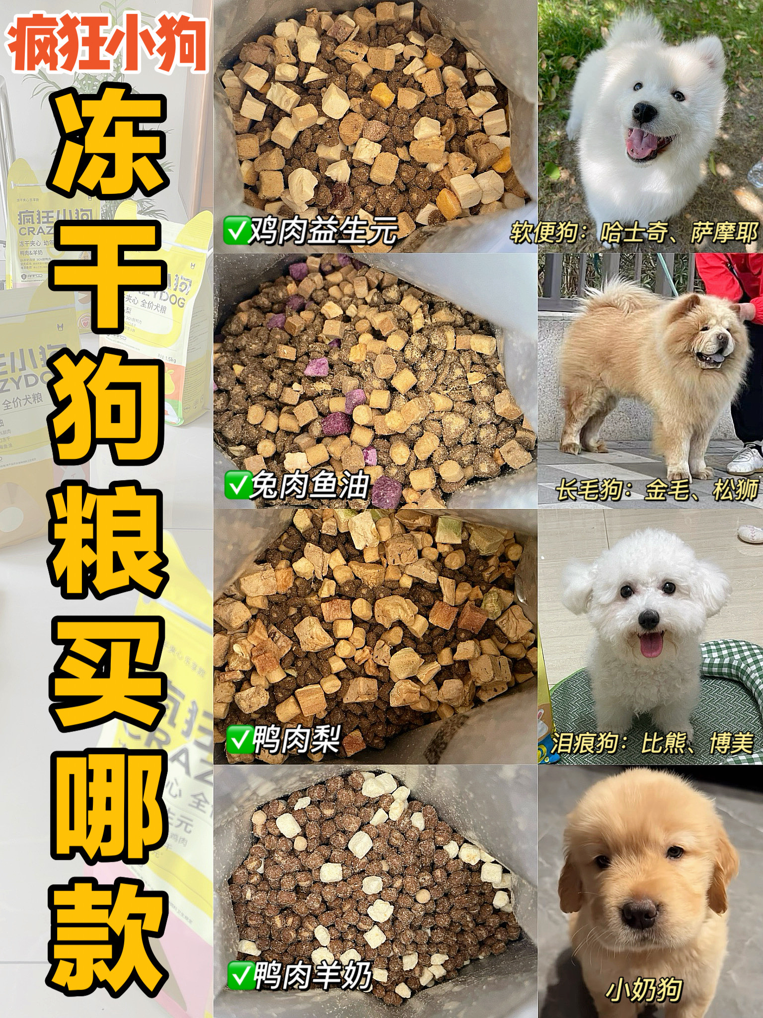 7年养狗人经验分享｜冻干狗粮买哪款好？