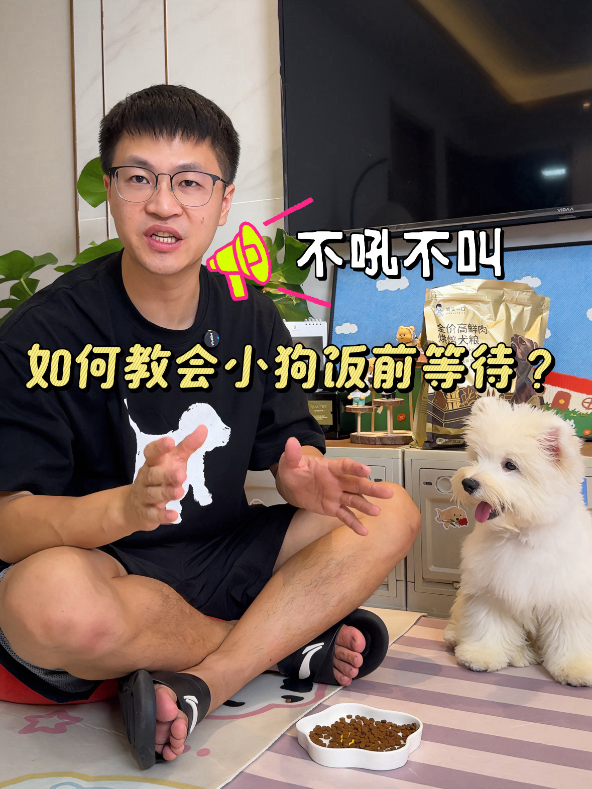 新手必学 | 小狗饭前等待