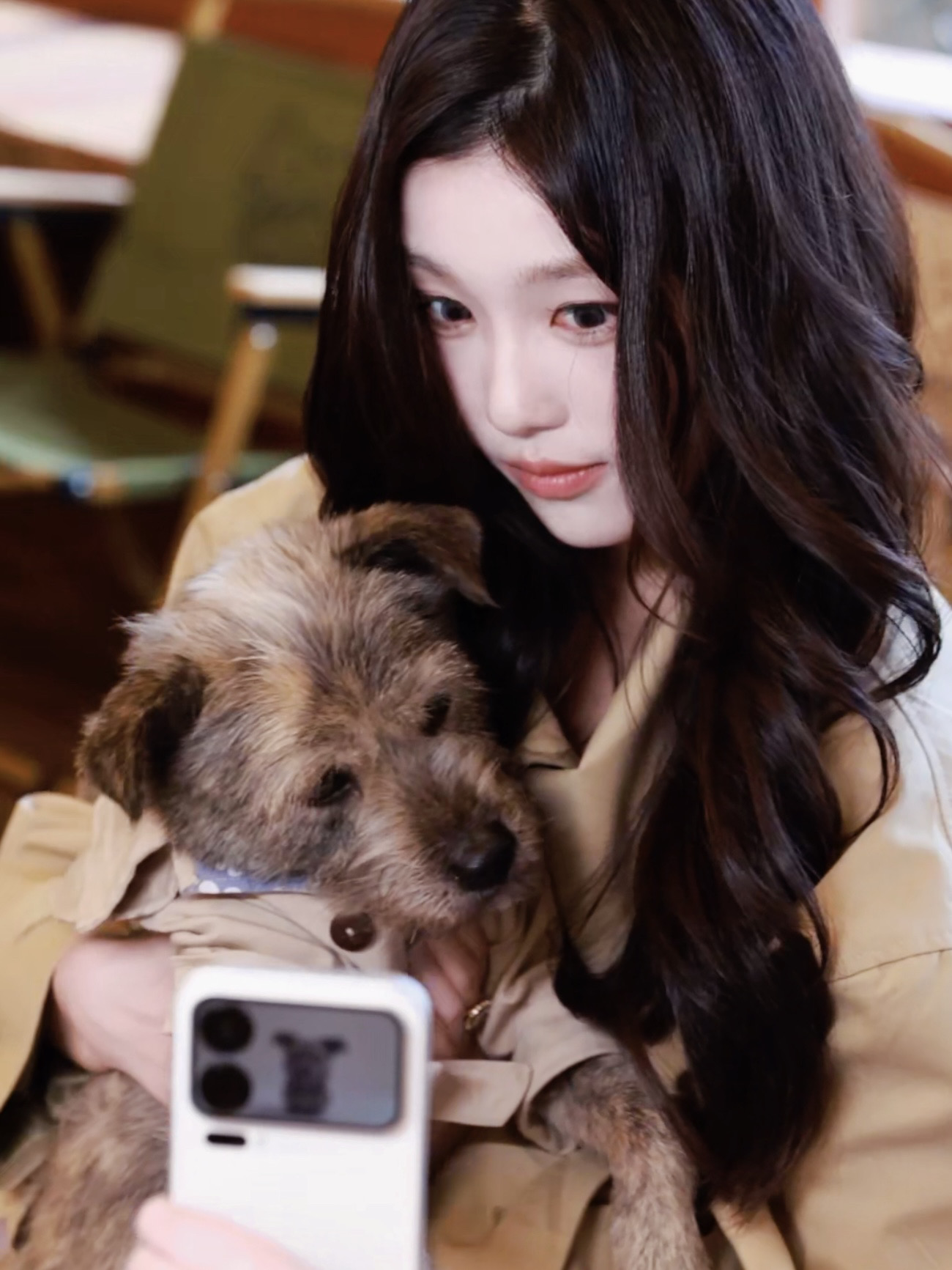 和小狗出片 如此简单