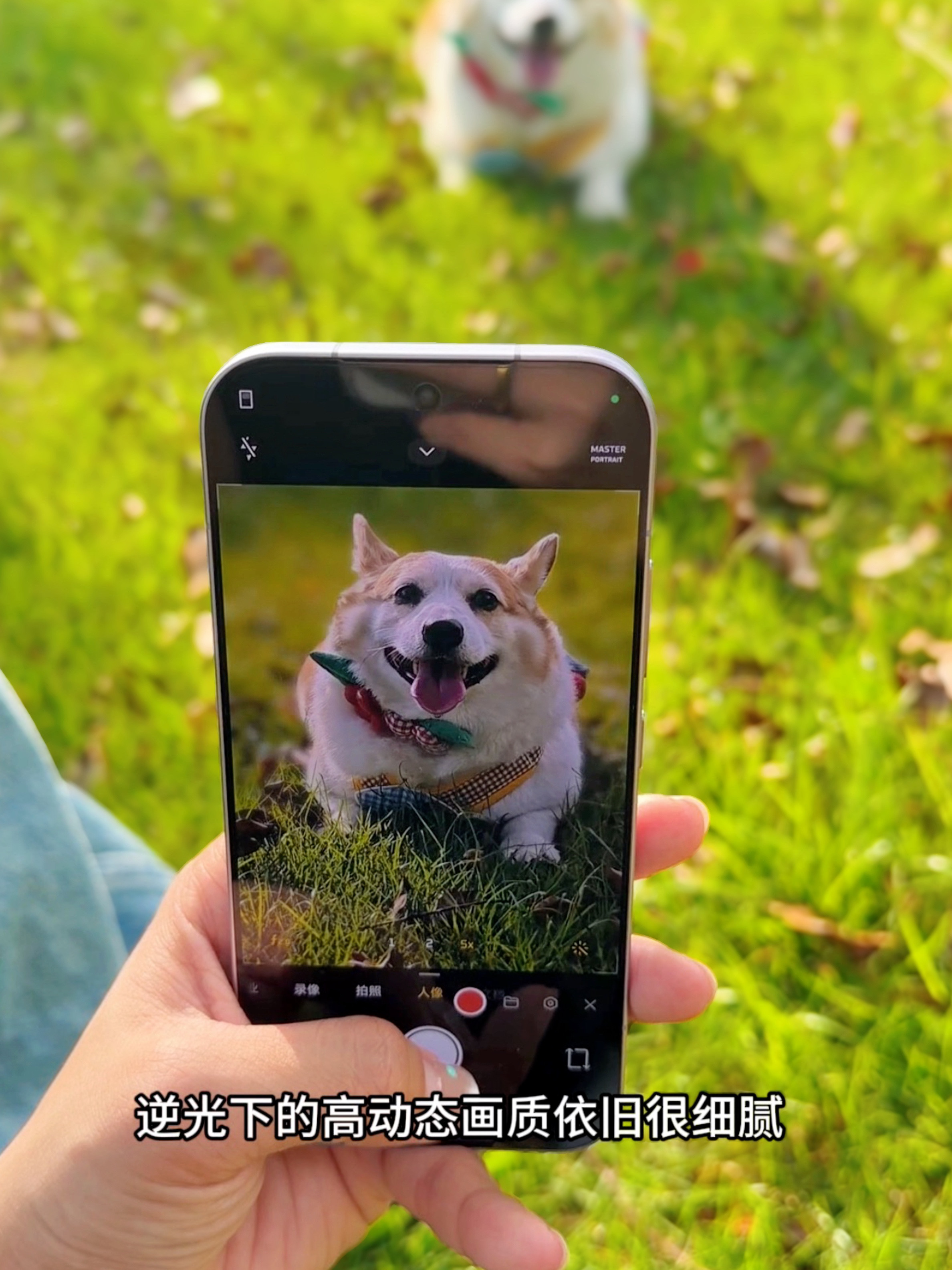 小米17pro的逆光氛围感真的绝了！！