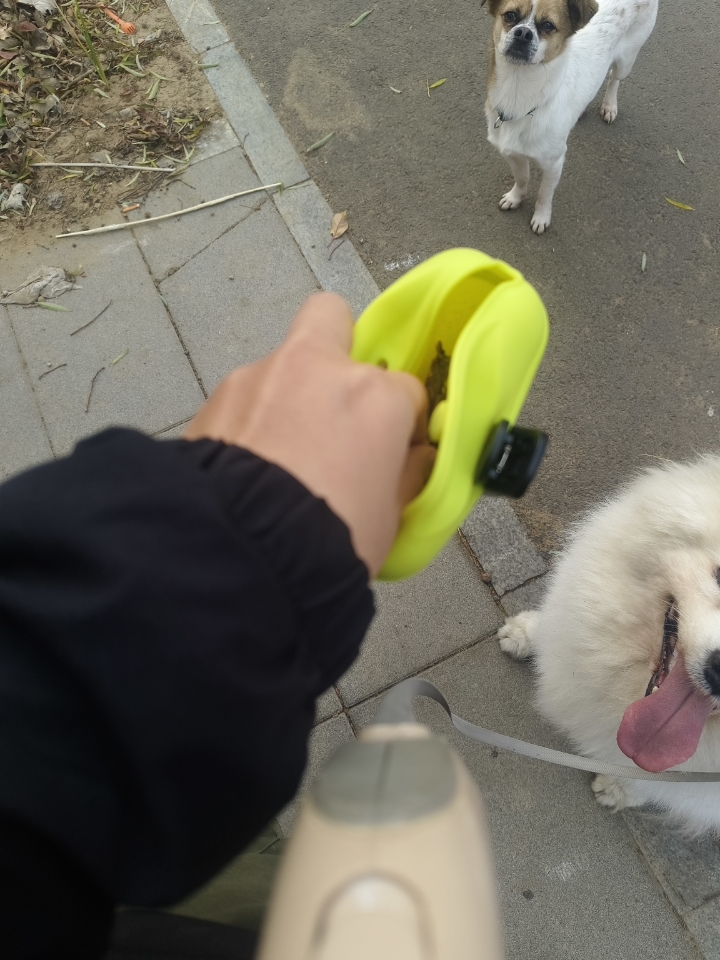 休普训犬包太好用了！