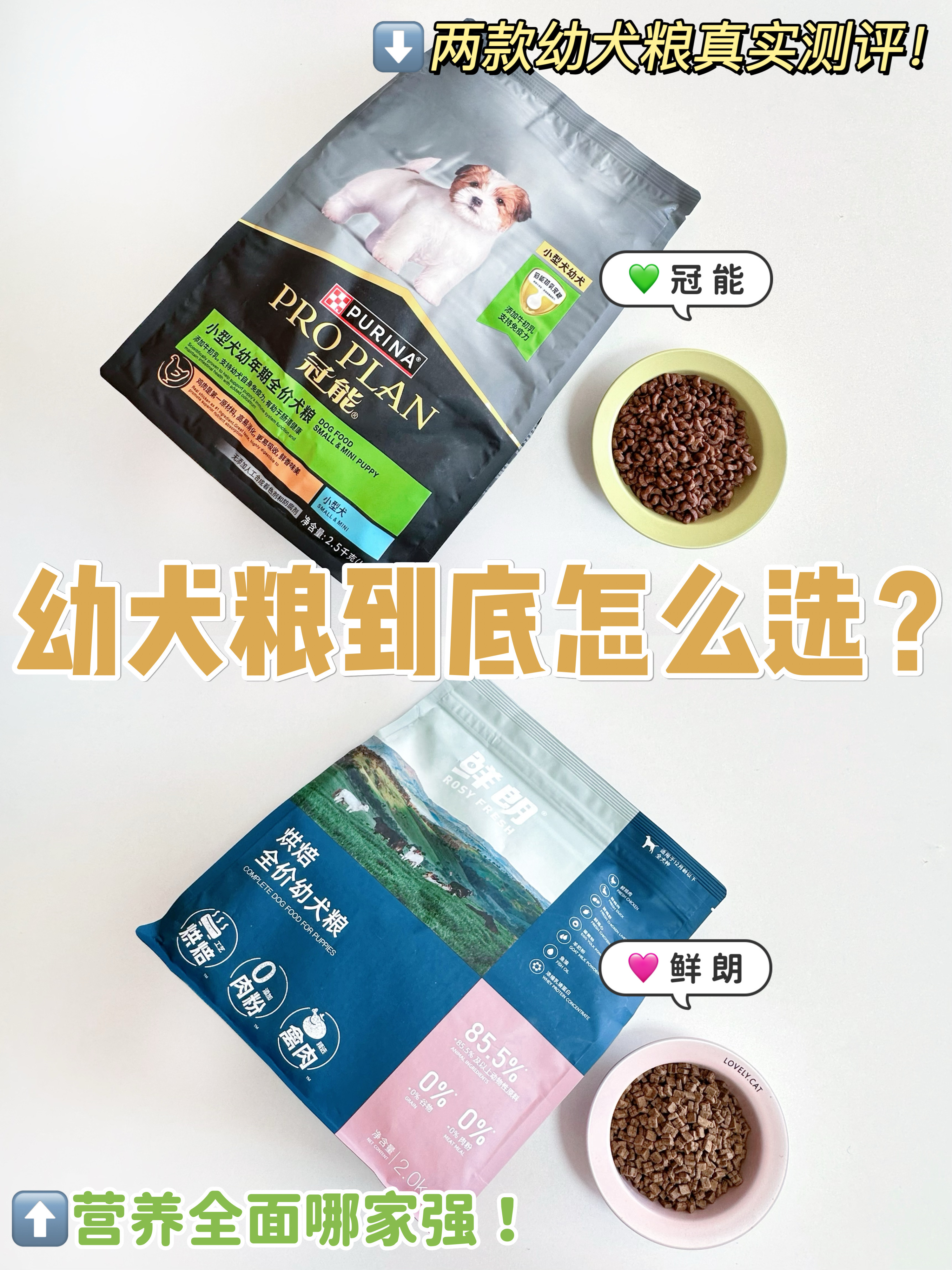 冠能🆚鲜朗 科学营养派or纯粹原料党 你选谁