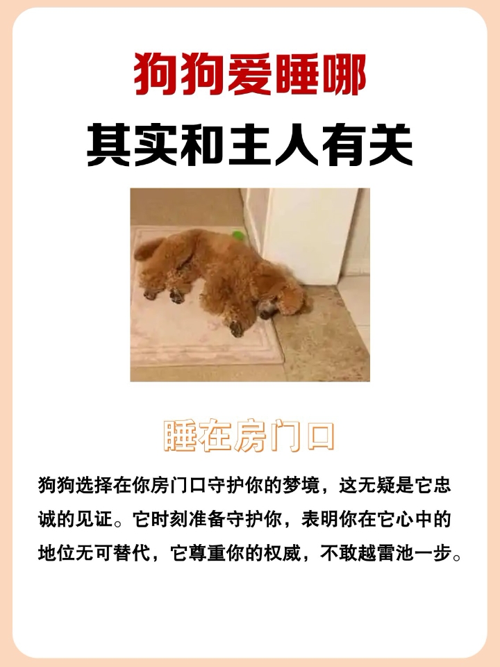 狗狗神经炎！！你知道这些“去根药”吗 1.复元定片  口服：一次两粒 一天两次 作用：专治狗狗神经炎，促进神经细胞再生，修复受损神经细胞。 组成：柏子仁、刺五加、党参、远志、知母等 2.甲钴胺片 口服：一次一片，一天两次 作用：滋养周围神经。 组成：甲钴胺 3.维生素B1 口服：一次一片，一天两次 作用：补充维生素缺乏。 组成：维生素b 4.大活络丸 口服：一次半颗，一天两次 作用：活血化瘀，改善...